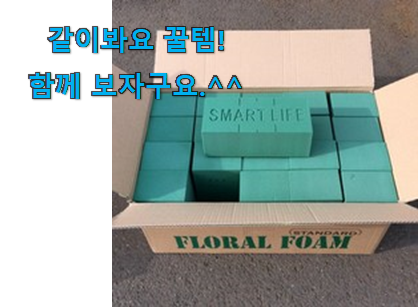 이렇게 좋은건 저만 알수 없죠 유행예감 꽃꽃이 스펀지 모두의 선택 함께 봅시다 추천이라구요 이렇게 좋은건 저만 알수 없죠 유행예감 꽃꽃이 스펀지 모두의 선택 함께 봅시다 추천이라구요