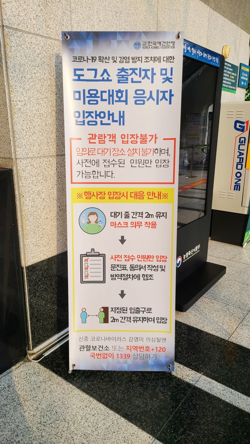 사진 8