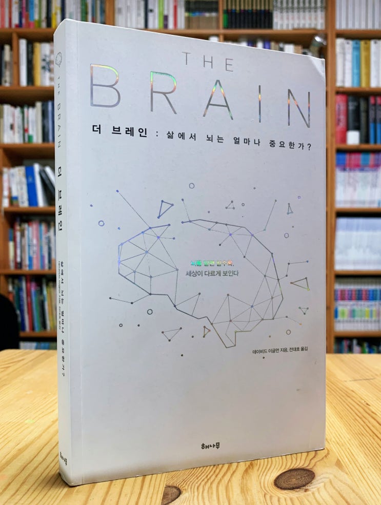  더 브레인 THE BRAIN (데이비드 이글먼) - 우리가 보고 있는 게 진실일까?