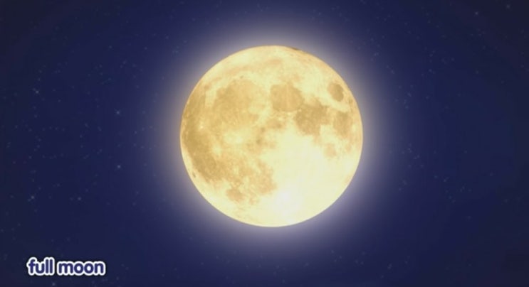  [바다나무] Lovely Moon | 달님노래 | 8가지 달의 모양 변화
