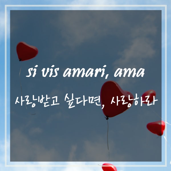 라틴어 명언 모음! 예쁜 라틴어 단어 무엇이 있을까? : 네이버 블로그 라틴어 명언 모음! 예쁜 라틴어 단어 무엇이 있을까? : 네이버 블로그