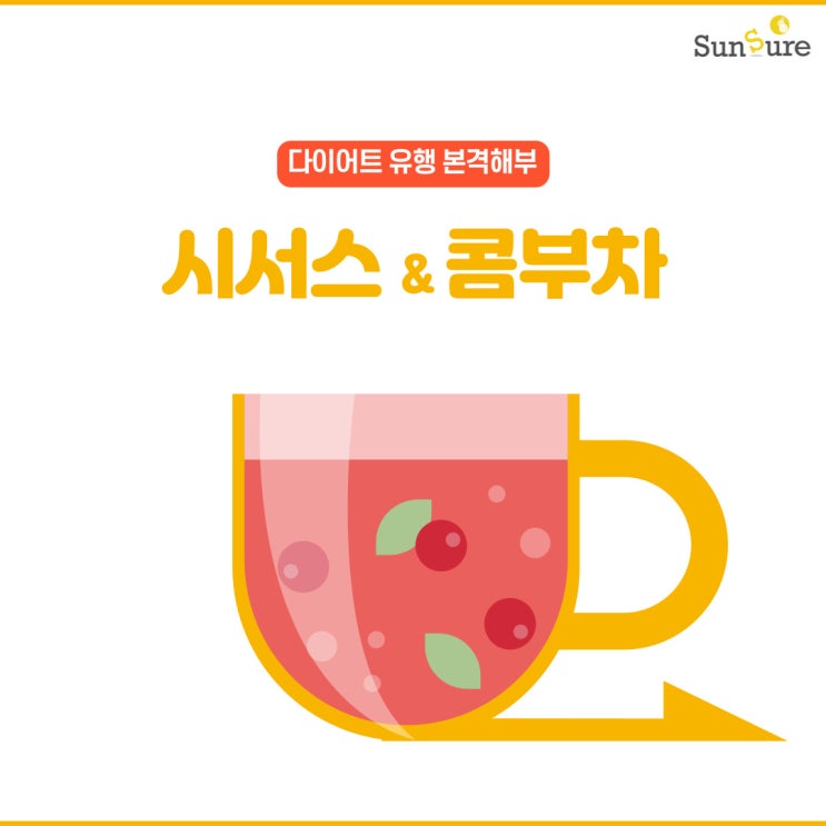  [다이어트 유행 본격 해부] 다이어트 대세 식품 시서스와 콤부차, 어떤 효능을 가졌길래?