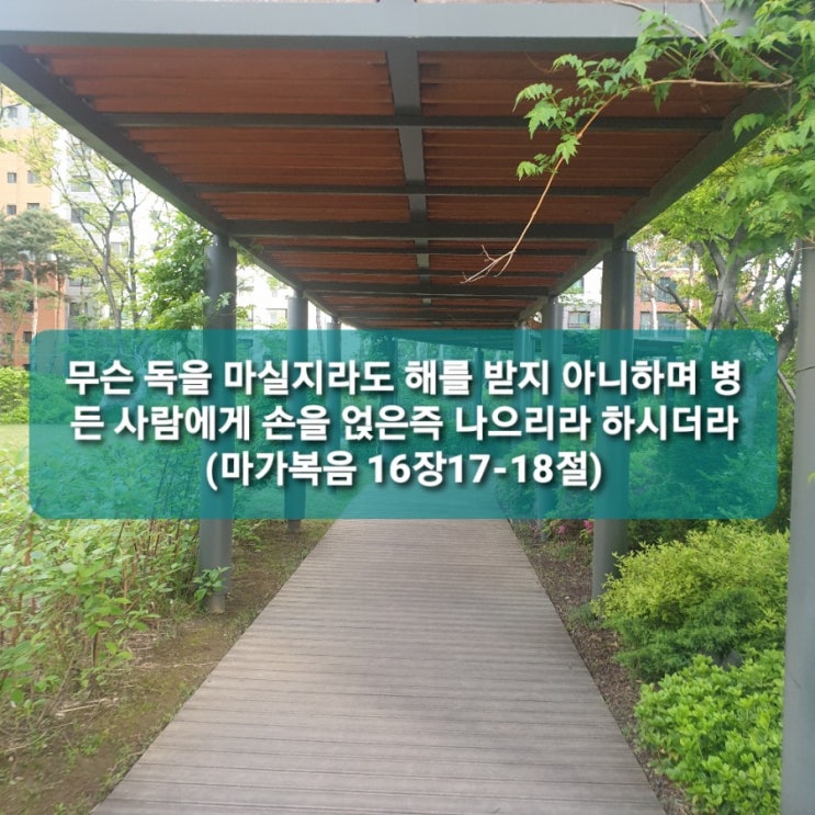  손을 얹은즉 나으리라
