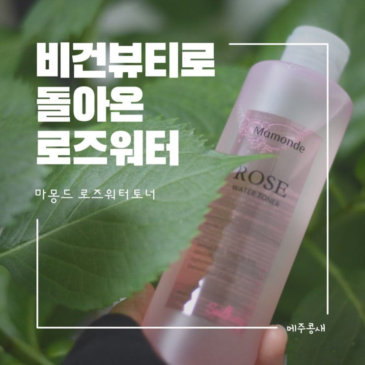  비건뷰티로 돌아온 착한토너 / 마몽드 로즈워터토너 / 올리브영추천템
