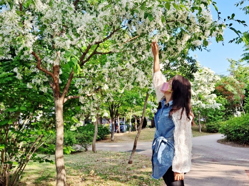 예쁜옷 쇼핑몰 비바루비에서 레이스 데님남방 구매 후기