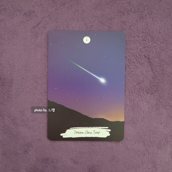  THE PRICE OF LOVE ORACLE ; 더 프라이스 오브 러브 오라클 카드 - 8. Dream Come True