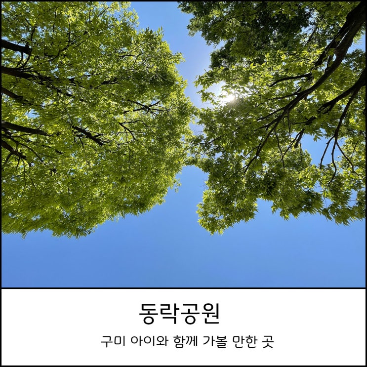  동락공원에서 자전거 대여, 원터치 텐트_ 구미 아이와 함께 가볼 만한 곳