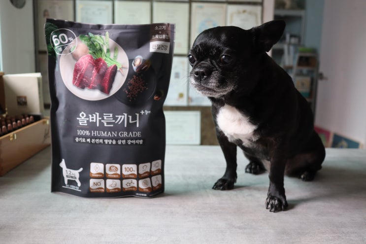 강아지사료 말랑말랑 부드러워 노견에게 딱이야