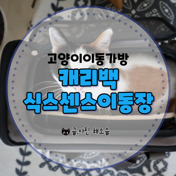  캐리백 식스센스이동장 확장기능 있는 고양이이동가방으로 좋아요