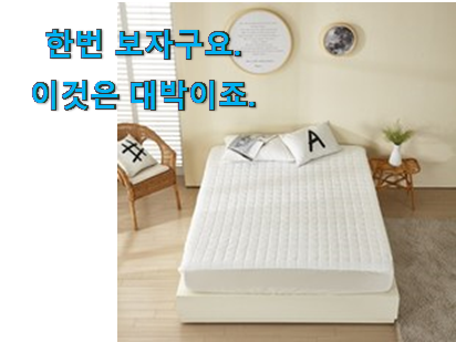  검증된 알레르망 매트리스커버 모두의 선택 강추!