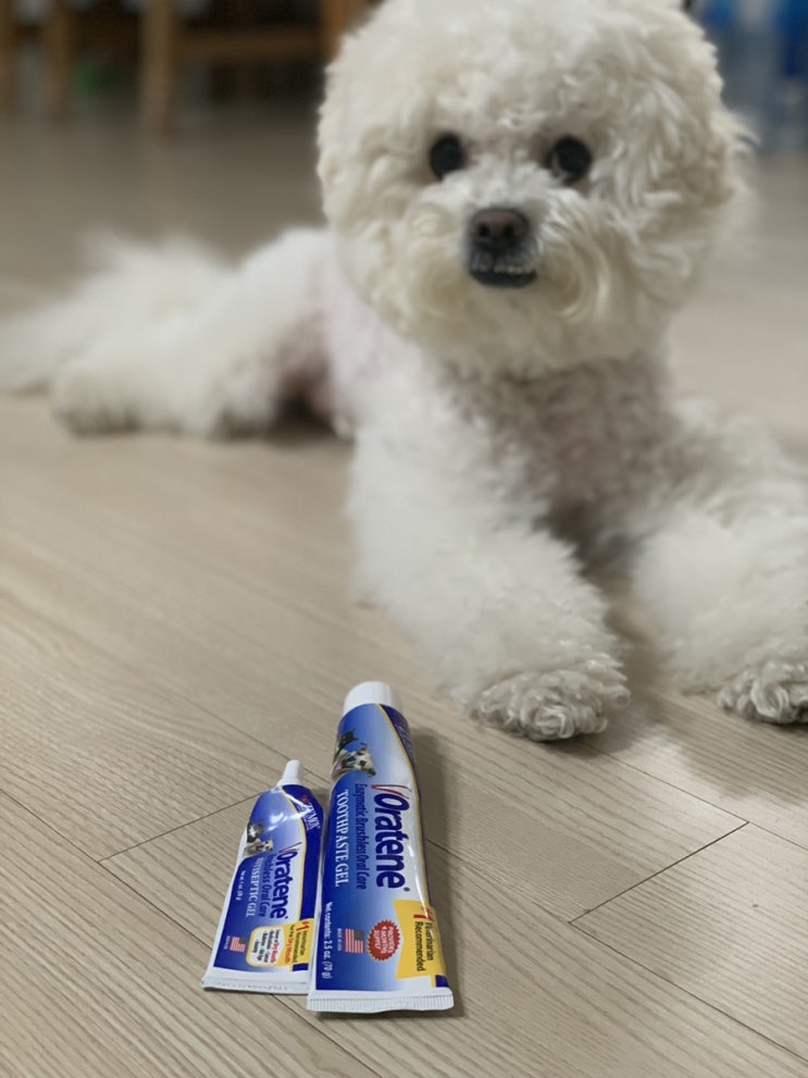  오라틴 제품 강추!!! 오라틴드링킹워터,오라틴안티셉틱,오라틴메인터넌스 투스페이스트 [[내돈내산]]