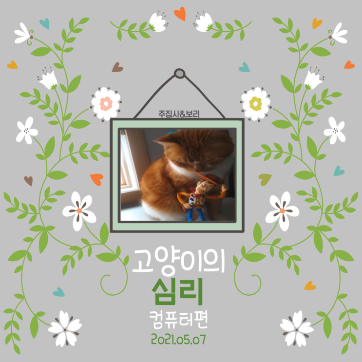  마음속에 화가 가득 찬 질투의 화신 고양이