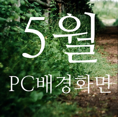  2021년 5월 컴퓨터 배경화면