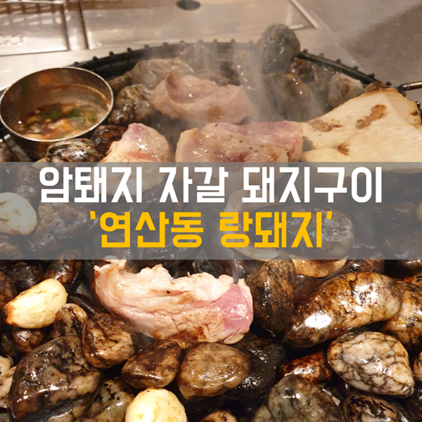 [연산동] 식사, 안주_ 돼지고기 자갈 구이 맛집 '연산 랑돼지'