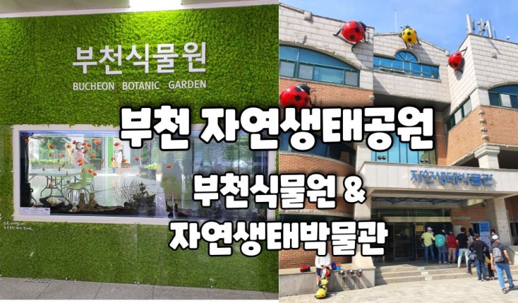  부천식물원, 자연생태박물관 (부천자연생태공원):: 실내 아이 가볼만한 곳