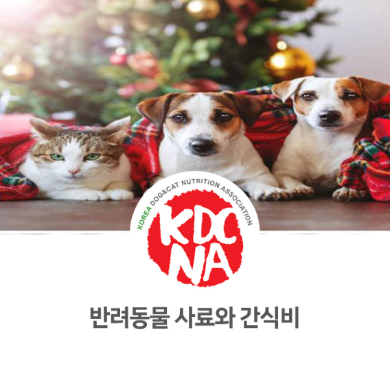  [영천/경주/울산/양산/광주/순천/목포/경산/펫푸드자격증/애견수제간식창업반] 반려동물 양육의 필수 사료와 간식_785