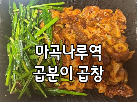  마곡나루역 곱분이 곱창 아직도 안드셔보셨어요?
