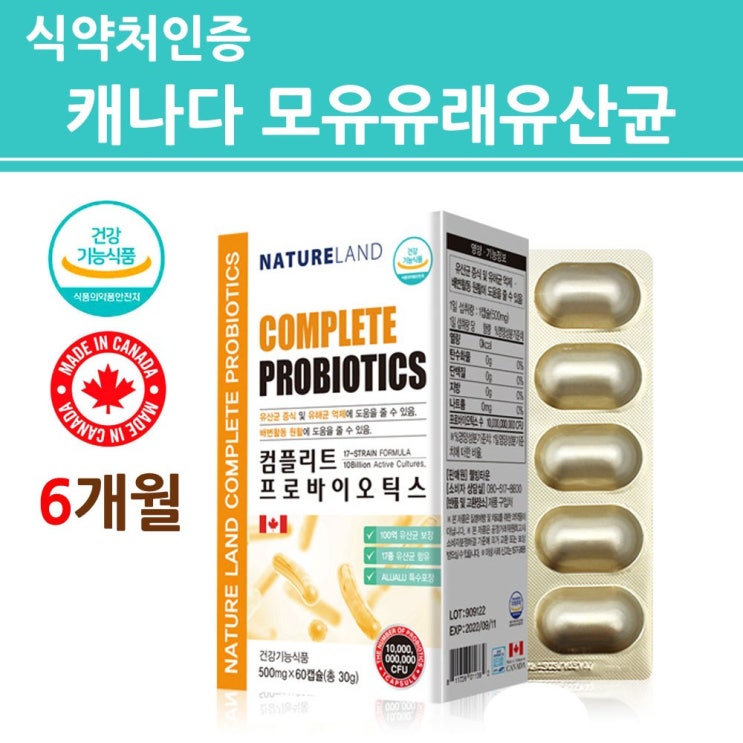 선택고민 해결 식약처인증 L락토바실러스 GG유산균 모유유래 가세리 루테리 17종 분말 가루 캡슐 신 프로 프리 포스트 바이오틱스 식물유래 신소재 KY 3세대 사균체 여성 임산부 식 선택고민 해결 식약처인증 L락토바실러스 GG유산균 모유유래 가세리 루테리 17종 분말 가루 캡슐 신 프로 프리 포스트 바이오틱스 식물유래 신소재 KY 3세대 사균체 여성 임산부 식