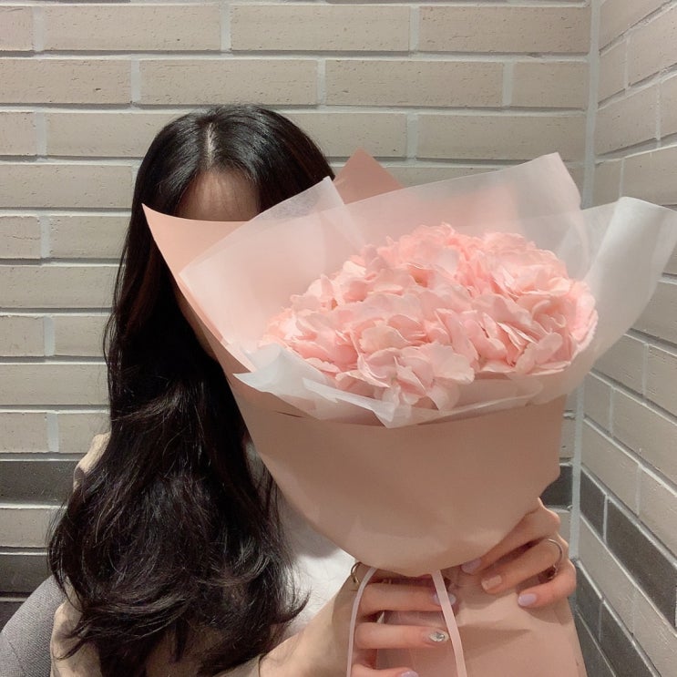  제일 좋아하는 프리지아 & 핑크수국 꽃 꽃말까지 알면 더 좋아!