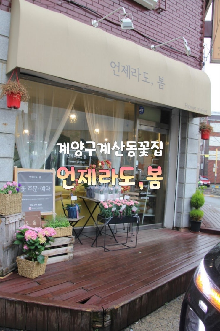  계양구 계산동 임학 꽃집 언제라도, 봄