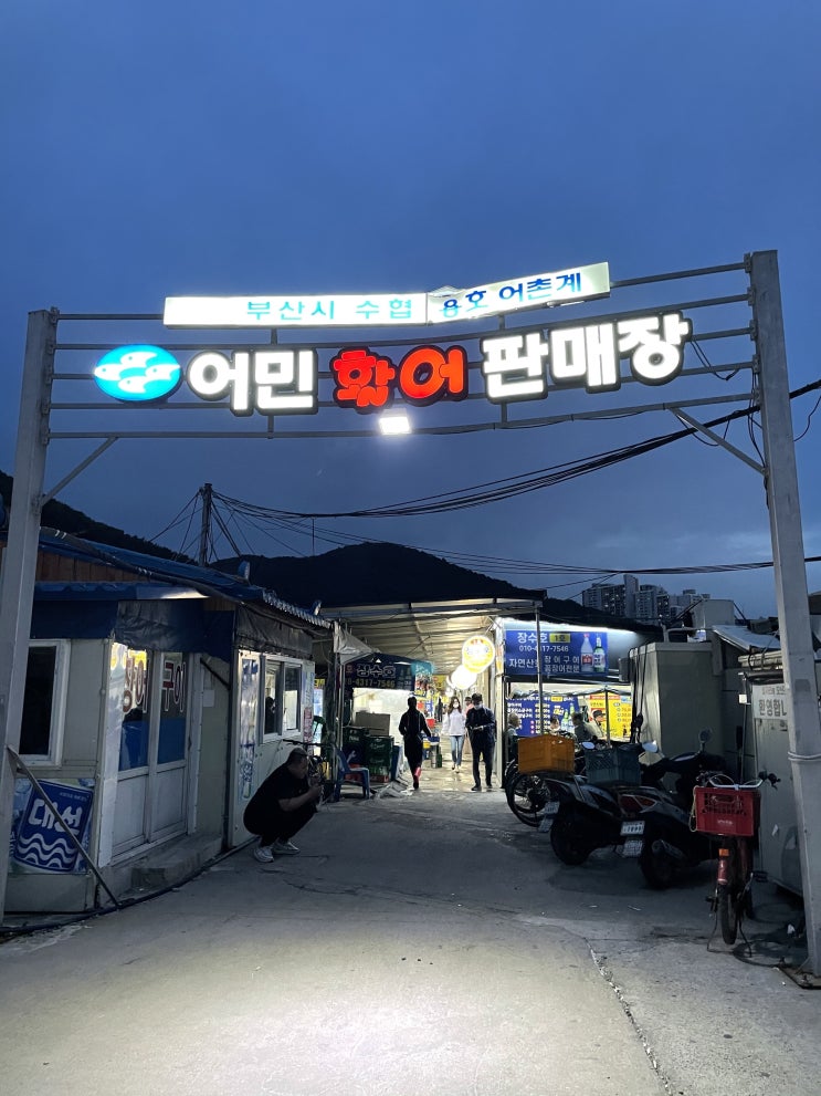  섭자리 장어구이 아나고회 "낙팀장 추천 맛집"