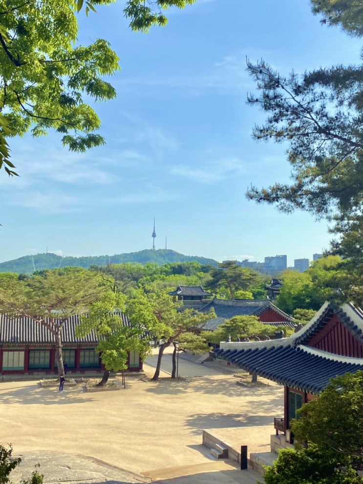 [서울] 창경궁나들이