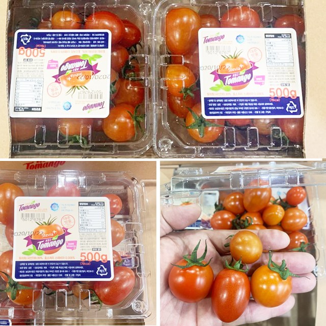 많이 팔린 달콤한 고당도 샤인토마토 스테비아 달콤한 토마토 토망고 1kg/2kg, 스테비아 토망고 1팩/1kg 좋아요 많이 팔린 달콤한 고당도 샤인토마토 스테비아 달콤한 토마토 토망고 1kg/2kg, 스테비아 토망고 1팩/1kg 좋아요
