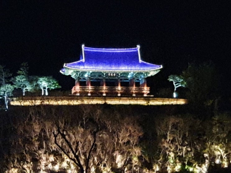  #경주금장대 야경