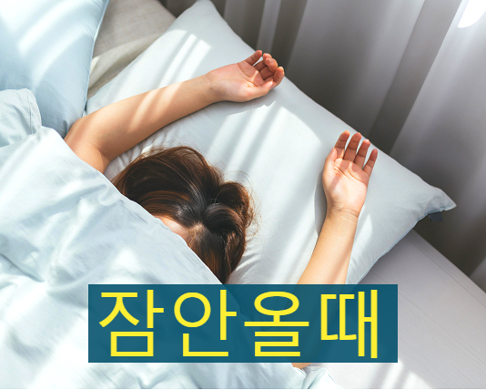  잠안올때 불면증증상 극복하는법엔 결국 수면영양제