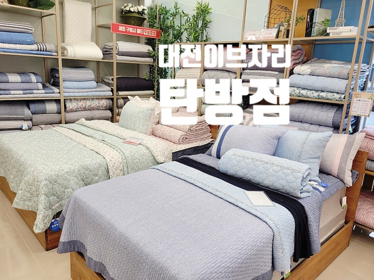  대전 이브자리 코디센탄방점에서 새로나온 토퍼 구경했어요