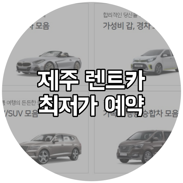  제주 렌트카 한 곳에서 81개 업체 가격비교하고 제주 여행 떠나자