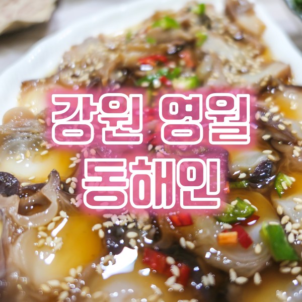  영월역 맛집 영월읍 동해인 문어장과 전복장