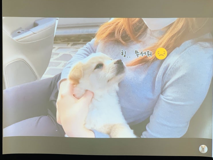  구로구 미팅 회의용빔프로젝터 성능 좋고 빔스크린 큰걸로 장착