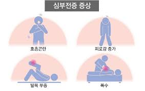  성인간호학 심부전총정리 정의원인 증상보상기전 좌우심부전 심혈관계