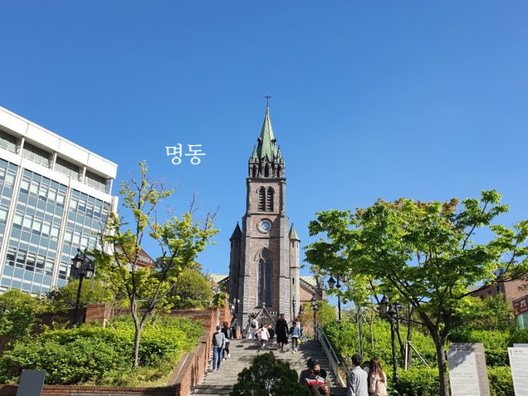  명동 쇼핑 : 명동 홍만당, 명동 길거리음식, 명동 HBAF