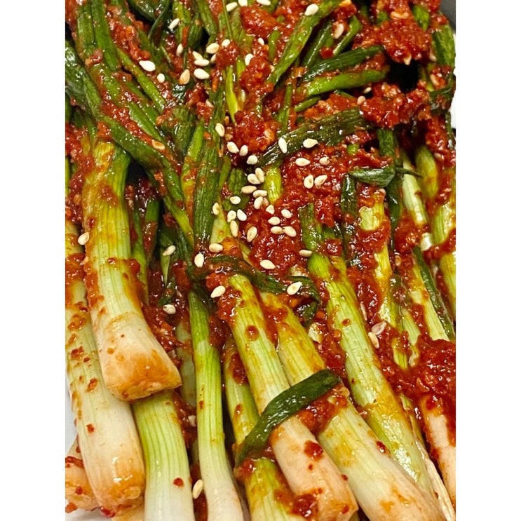 리뷰가 좋은 해남땅끝모녀반찬 파김치, 500g ··· 리뷰가 좋은 해남땅끝모녀반찬 파김치, 500g ···