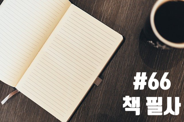 66번째 책 필사 - 정치적 진보주의와 지능의 역설