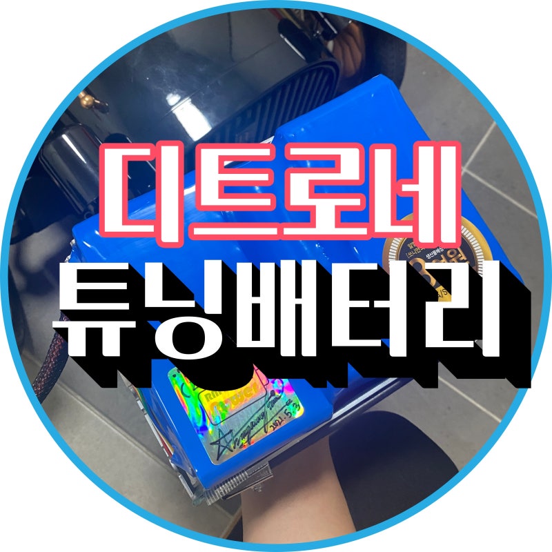 전동차 디트로네 튜닝배터리