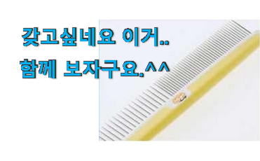 맘에드는 푸들 강아지빗 행복 클릭 이건 사야합니다 맘에드는 푸들 강아지빗 행복 클릭 이건 사야합니다