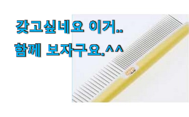 맘에드는 푸들 강아지빗 행복 클릭 이건 사야합니다