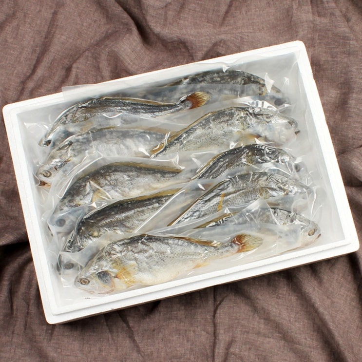 최근 인기있는 해우리 영광굴비 부세 보리굴비 특대 (개별포장), 10마리, 10마리(황금보자기) 추천해요 최근 인기있는 해우리 영광굴비 부세 보리굴비 특대 (개별포장), 10마리, 10마리(황금보자기) 추천해요