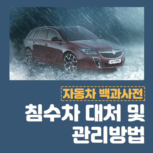  침수차 대처법 및 관리 방법