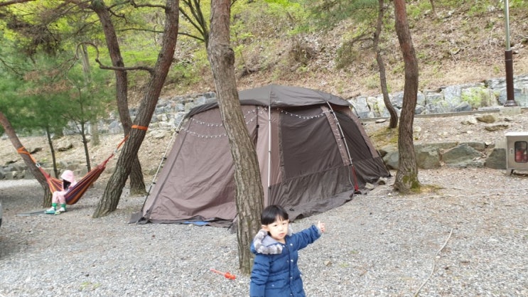 대전 근교 캠핑 남이자연휴양림 금산 산림문화타운 캠핑장 대전 근교 캠핑 남이자연휴양림 금산 산림문화타운 캠핑장