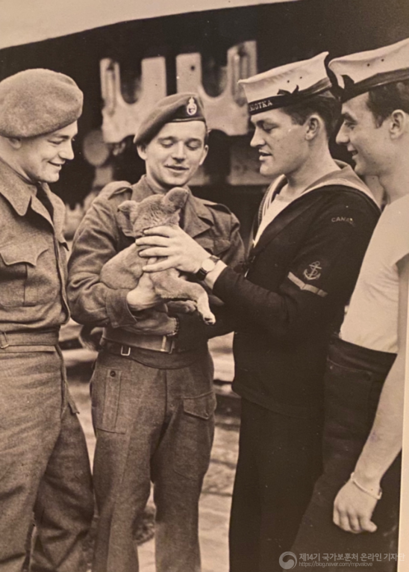 론 세일러 청동 조각상 미국 해군 기념관, image size:800x1118