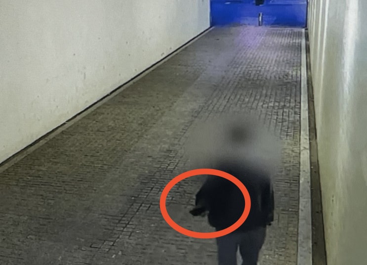 한강 실종 사망 친구 신상 토끼굴 CCTV 새롭게 뜬 충격적인 정황 전화 안 받고 연락 안하더니 손에 핸드폰 버젓이 들고 있네? 이게 무슨 일이고? 한강 실종 사망 친구 신상 토끼굴 CCTV 새롭게 뜬 충격적인 정황 전화 안 받고 연락 안하더니 손에 핸드폰 버젓이 들고 있네? 이게 무슨 일이고?