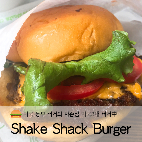 [미국 뉴욕] 미국뉴욕맛집 쉑쉑버거(Shake Shack Burger)