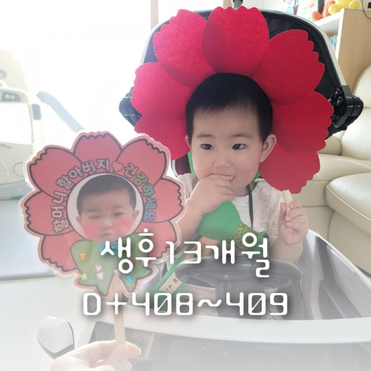 생후13개월 D+408~409 어버이날 맞이 아기 카네이션 된 아들, 머리띠 완전 귀염귀염 생후13개월 D+408~409 어버이날 맞이 아기 카네이션 된 아들, 머리띠 완전 귀염귀염
