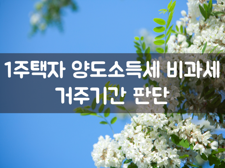  1주택자 양도소득세 비과세의 거주기간 판단
