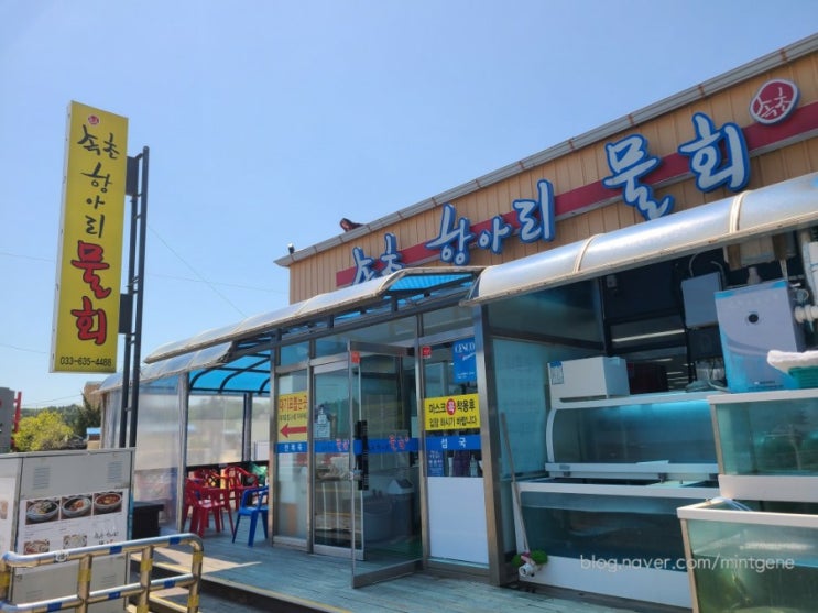  속초 물회, 가족외식추천, <항아리물회> 내돈내산 후기