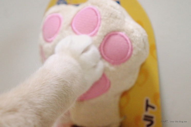 고양이 앞발 장난감 핑크젤리 발바닥